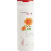 Shampoo LOIRO VIVO Natura Plant